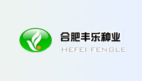合肥豐樂(lè)種業(yè)